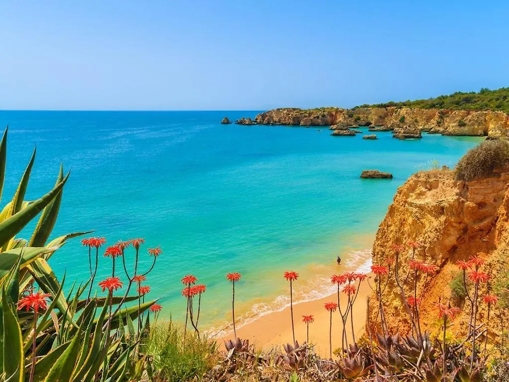 Villa Sesmarias Am Portugal